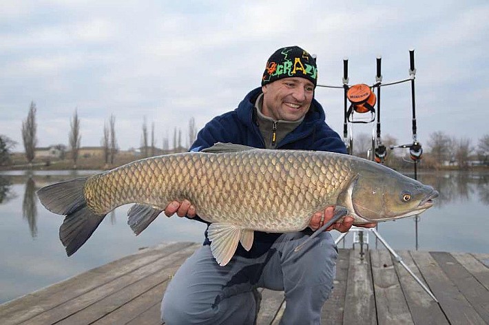 Карпфишинг022