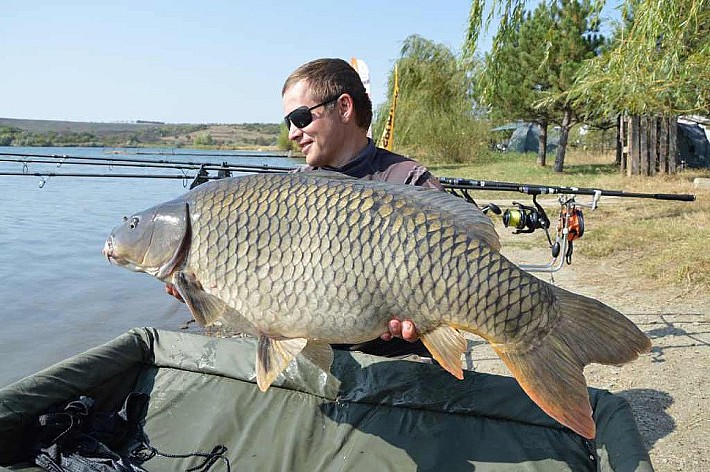 Карпфишинг034