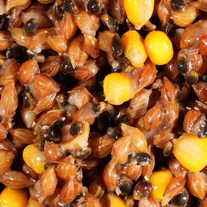 Зерновая смесь MINENKO Wild Wheat Spicy Plum (1кг) Дикая пшеница Пряная слива